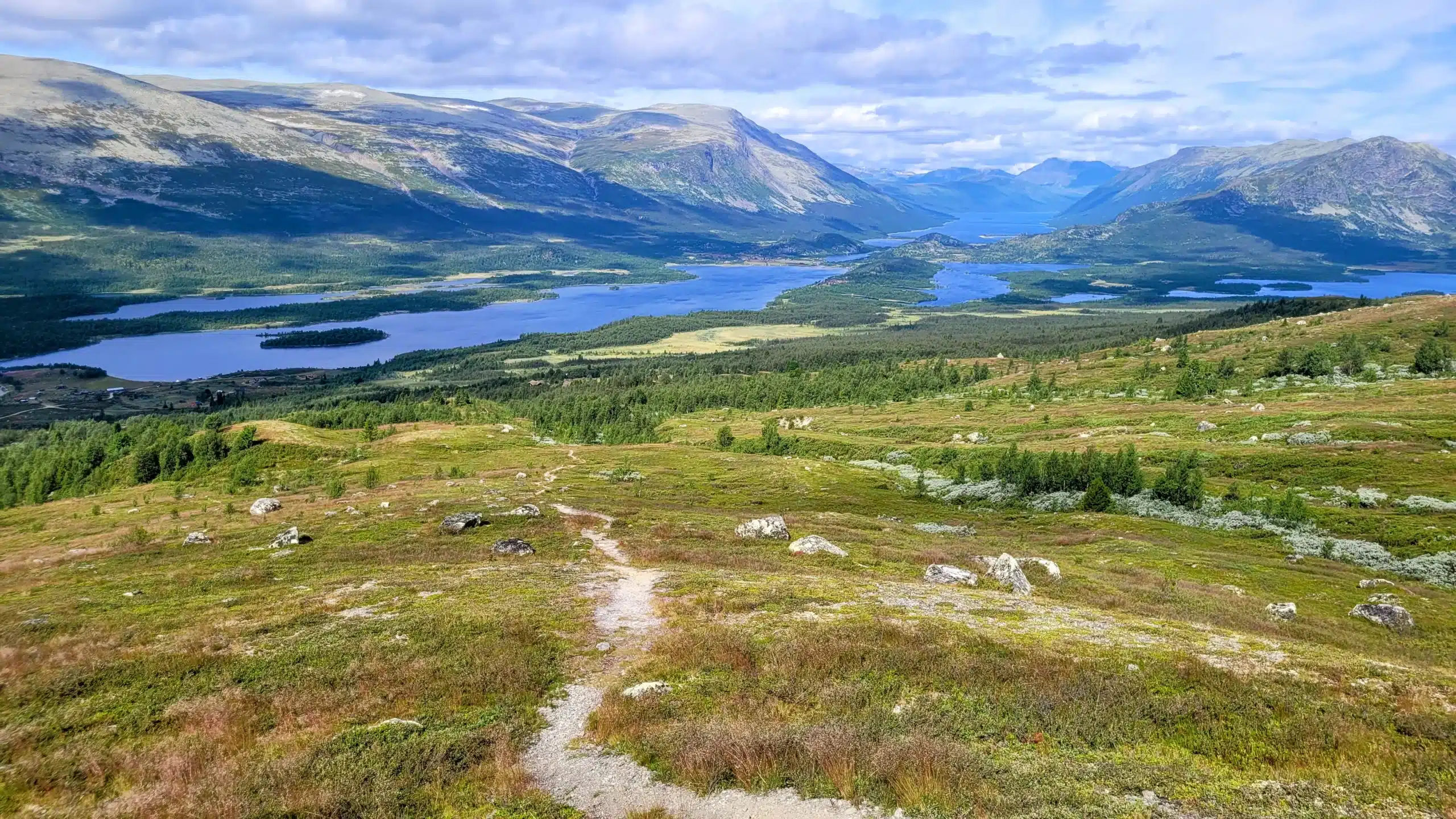 The Listening Body path and future